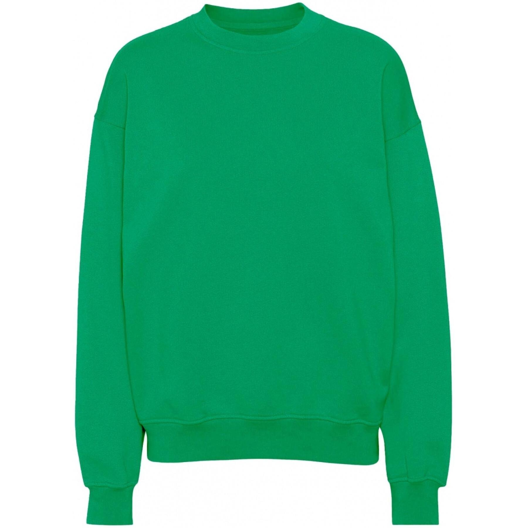 Bluza z okrągłym dekoltem Colorful Standard Organic oversized kelly green