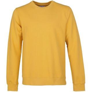 Bluza z okrągłym dekoltem Colorful Standard Classic Organic burned yellow