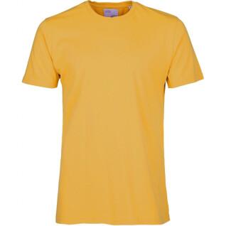 Koszulka Colorful Standard Classic Organic burned yellow
