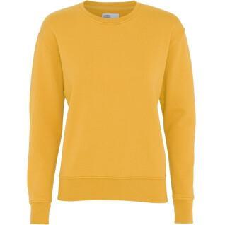 Damski sweter z okrągłym dekoltem Colorful Standard Classic Organic burned yellow