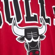 Damska koszulka z okrągłym dekoltem Chicago Bulls Blank